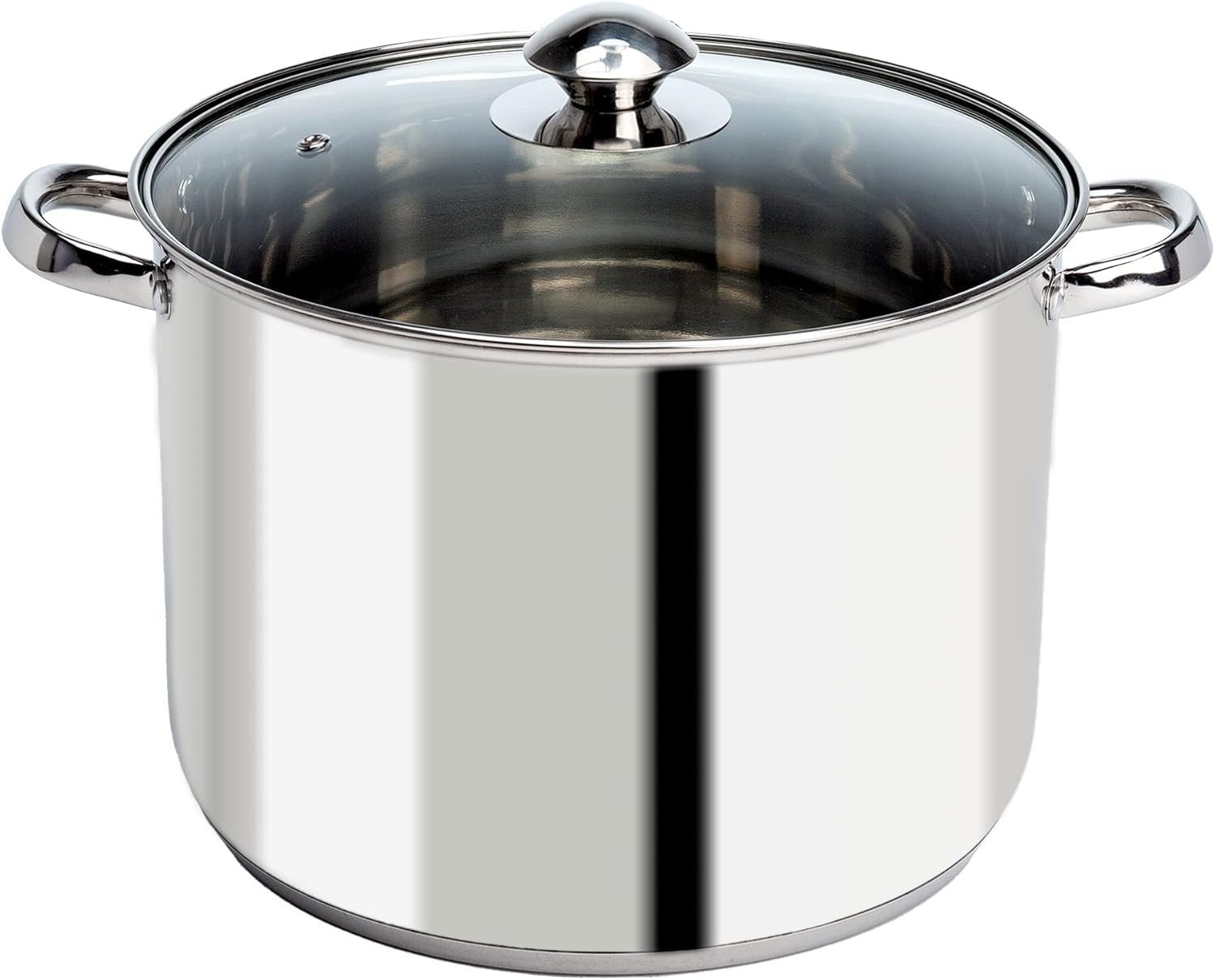 Stainless Steel Stock Pot