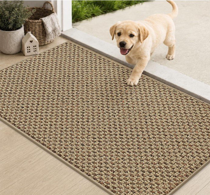 Door Mat Non-Slip Entryway Rugs