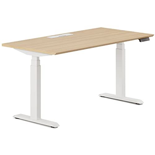 Branch Adjustable Standing Desk with Motors