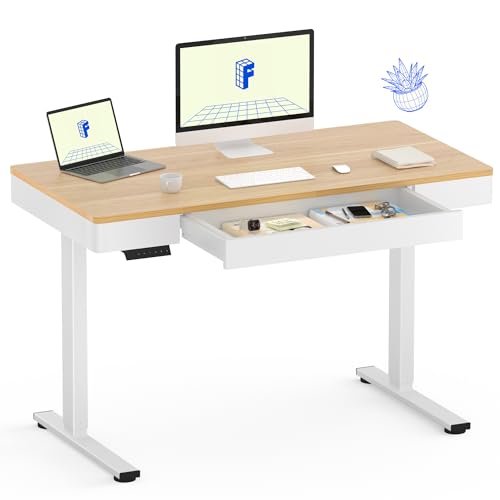 FLEXISPOT Adjustable Height Standing Desk