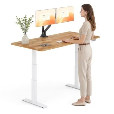 FLEXISPOT E8 Premium Standing Desk