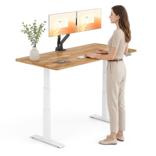 FLEXISPOT E8 Premium Standing Desk