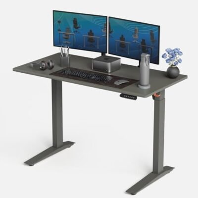 Autonomous Gray Electric Standing Desk 48×24