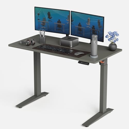 Autonomous Gray Electric Standing Desk 48×24