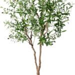 NOVAROOT 6FT Faux Olive Tree