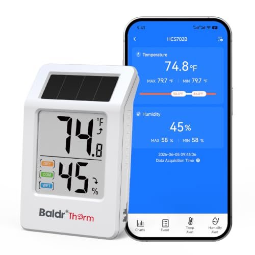 BALDRTHERM Room Thermometer Indoor