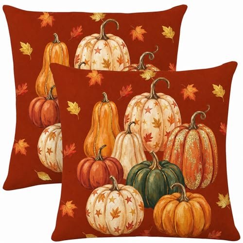 DITOTHER Thanksgiving Pillow Covers Set of 2
