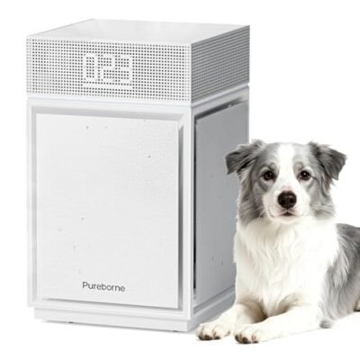PUREBORNE Air Purifiers